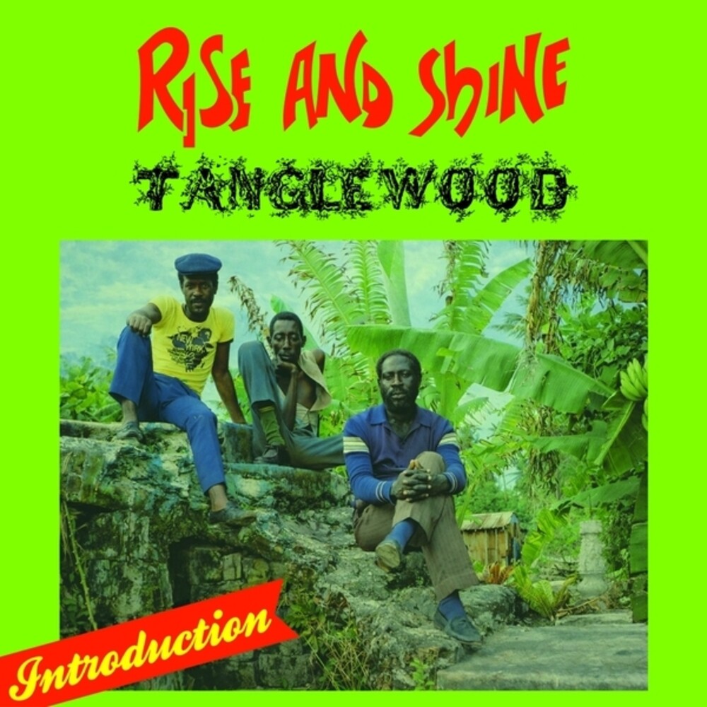 the album cover for Tanglewood - Rise & Shine