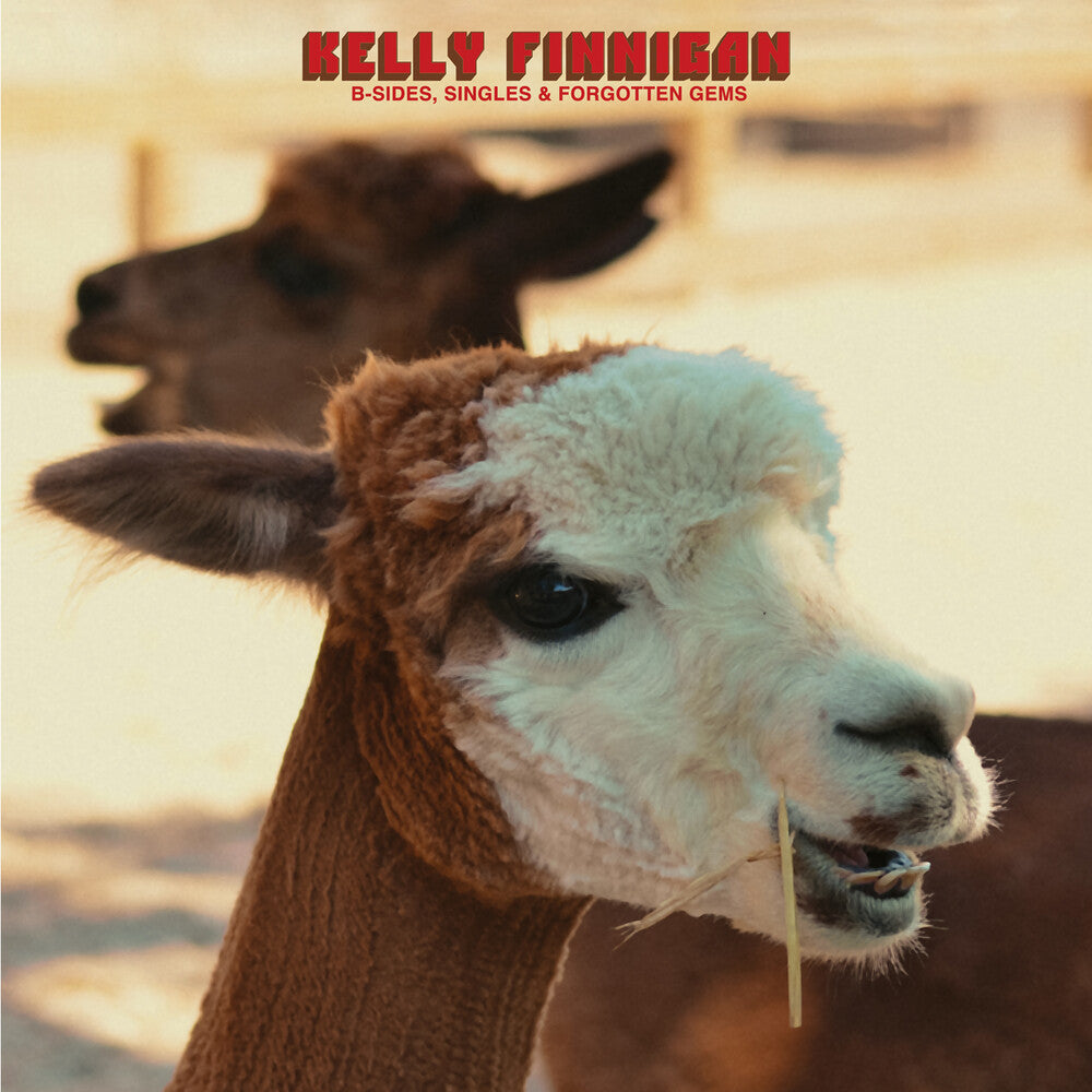 the album cover for Kelly Finnigan - B-Sides Singles & Forgotten Gems