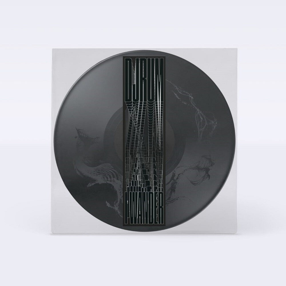the album cover for Djrum - I Wander [Picture Disc]