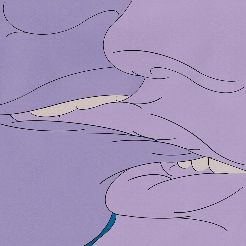 the album cover for Drug Church - Prude [Colored Vinyl] (Org) (Pnk) (Purp)