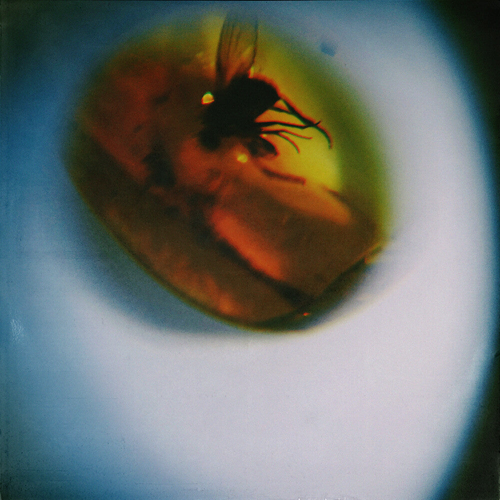 the album cover for April + VISTA - Traditional Noise [Translucent Fly Green]
