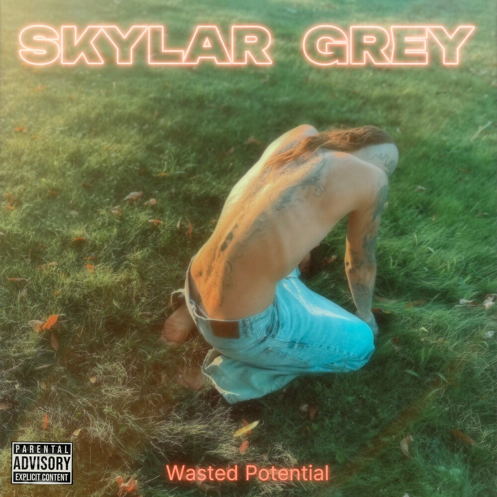 the album cover for Skylar Grey - Wasted Potential