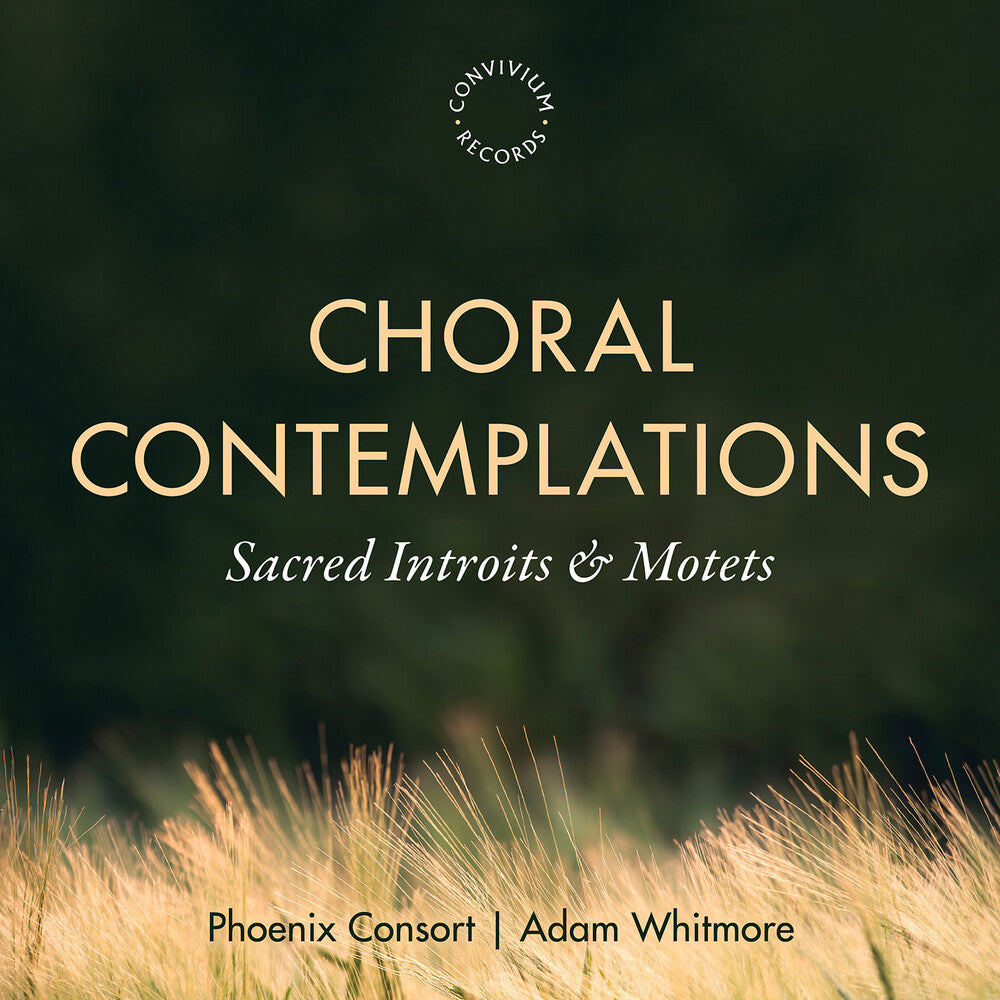 the album cover for Phoenix Consort - Choral Contemplations