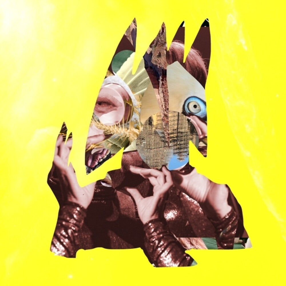 the album cover for Wassermann, Ute - chimeric