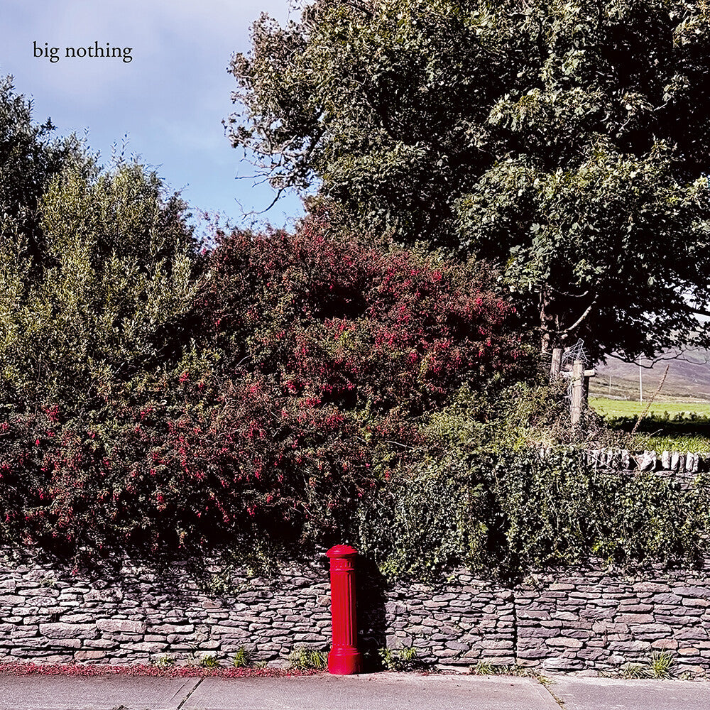 the album cover for Big Nothing - Big Nothing