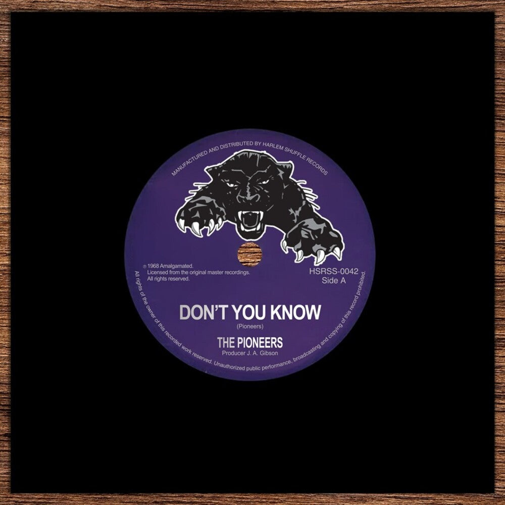 the album cover for Pioneers - Don't You Know / Me Naw Go A Believe [Reissue]