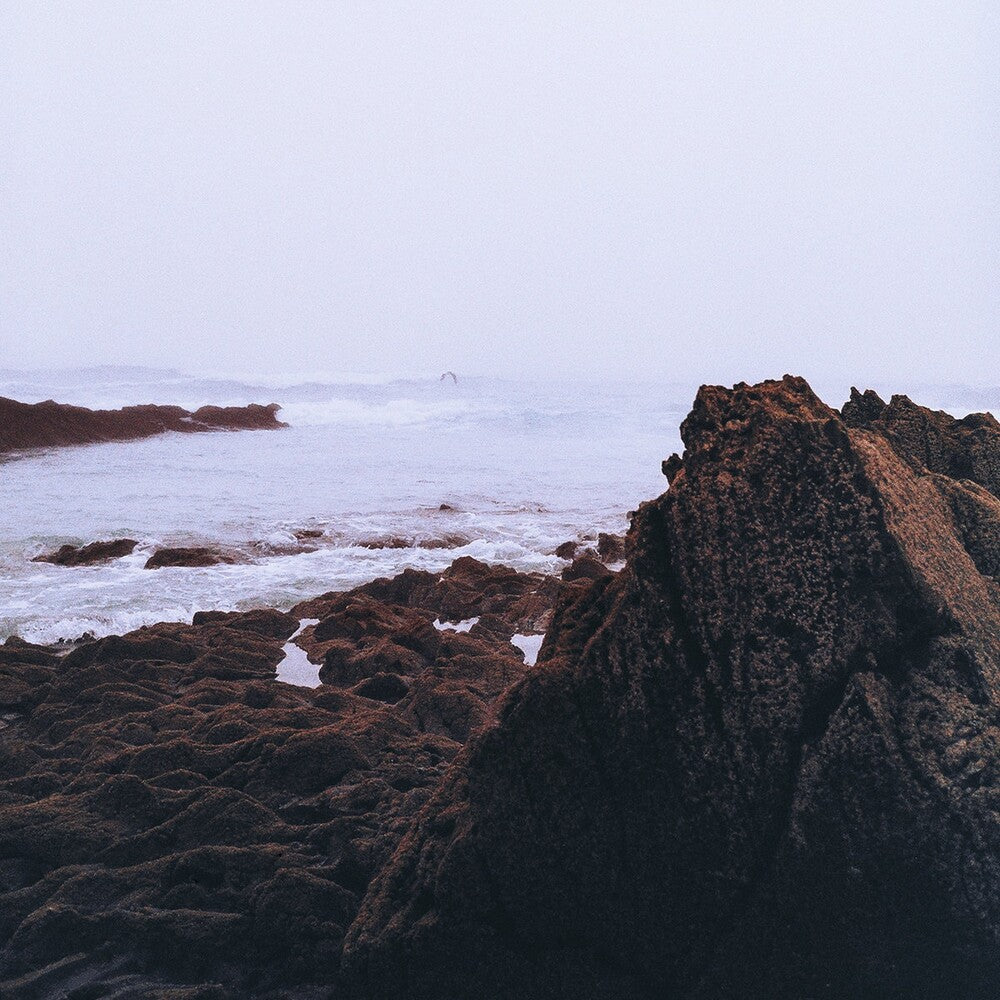 the album cover for Coltaine - Brandung