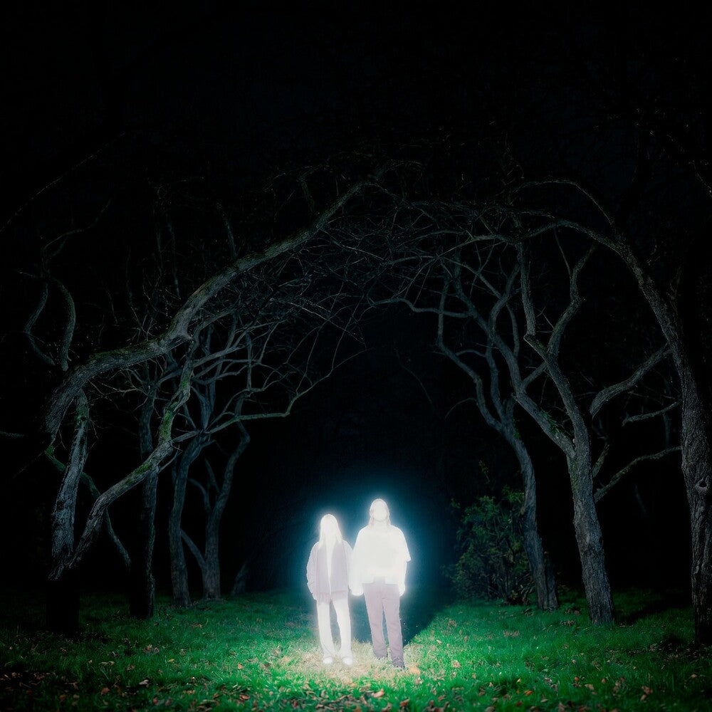 the album cover for Gnoomes - Losey [Indie Exclusive] Slate Gray [Colored Vinyl] (Gry) [Indie Exclusive]