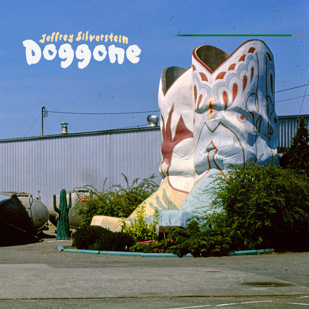 the album cover for Jeffrey Silverstein - Doggone
