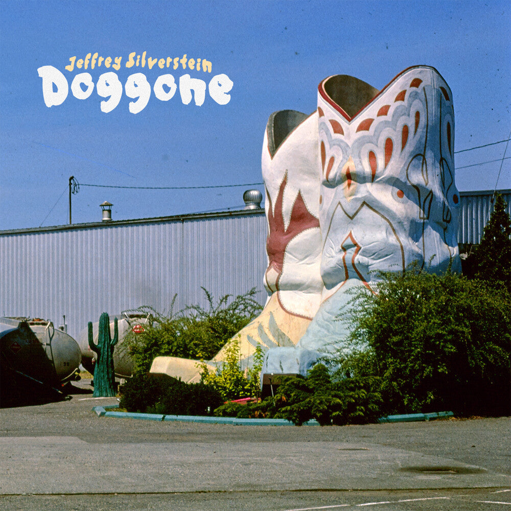 the album cover for Jeffrey Silverstein - Doggone