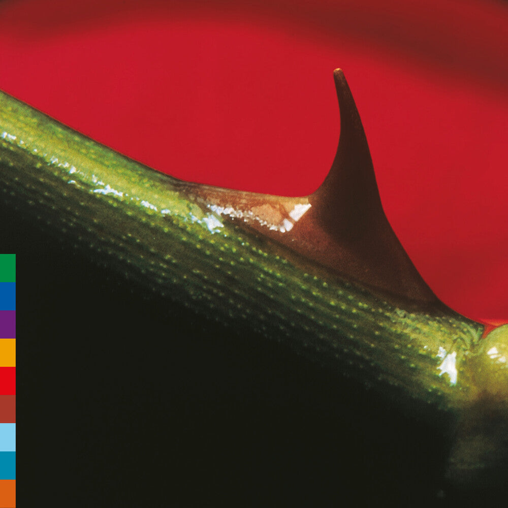 the album cover for Nusrat Khan  Fateh Ali / Brook,Michael - Night Song - Green [Colored Vinyl] (Grn) (Aniv) [Reissue]