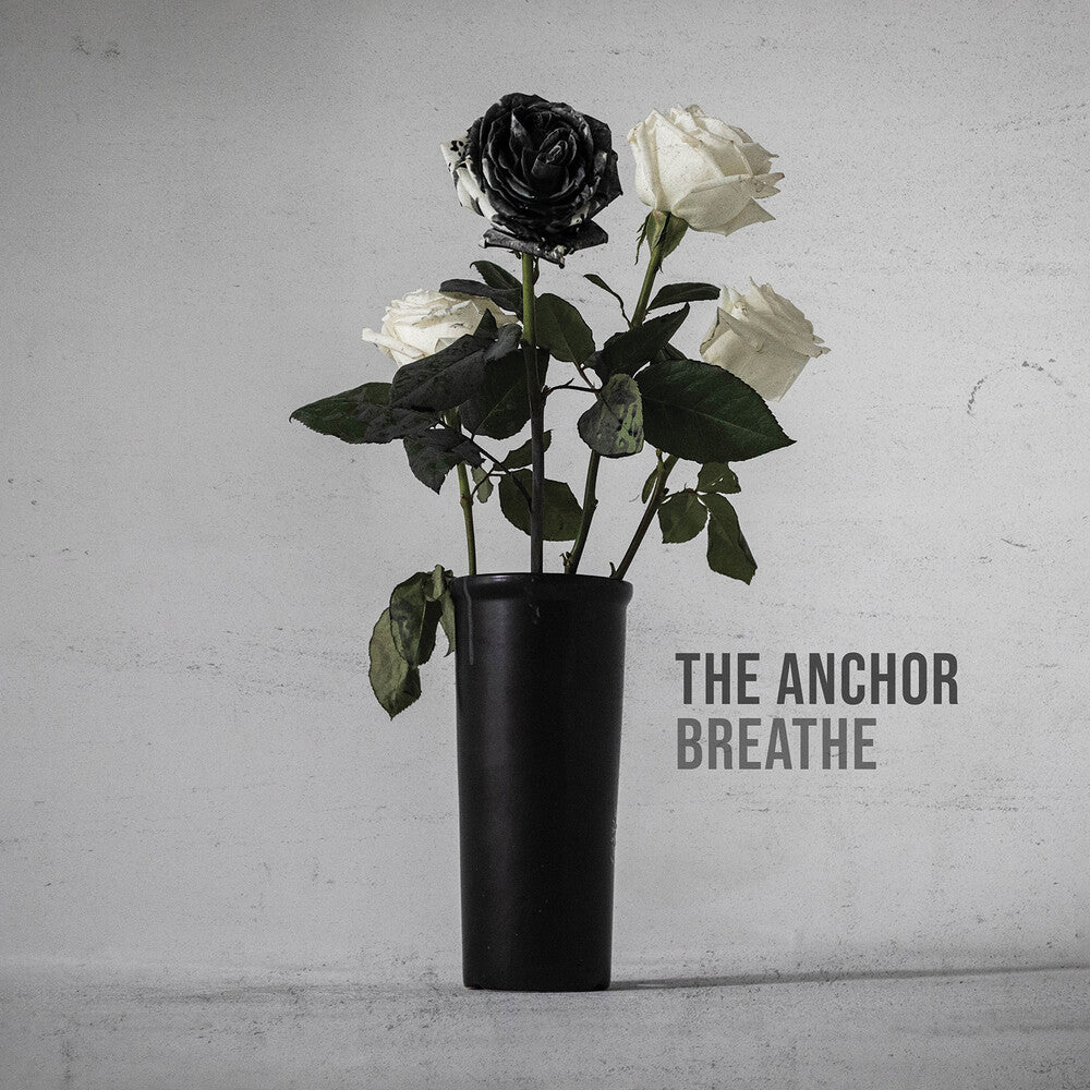 the album cover for Anchor - The Anchor