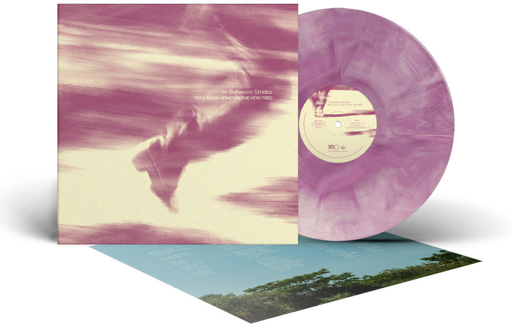 the album cover for Bees Made Honey in the Vein Tree - In Between Strides [Colored Vinyl] (Ofgv)