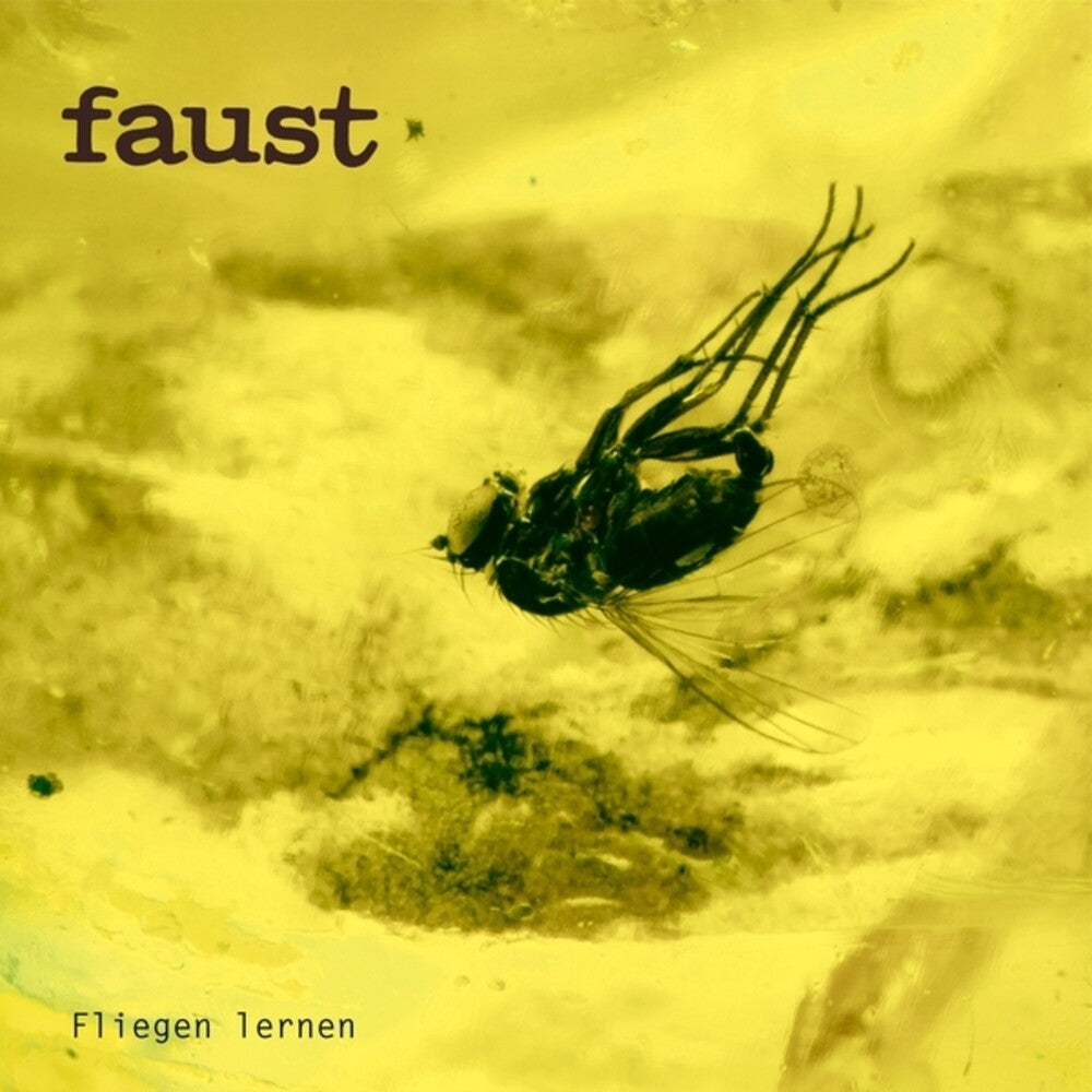 the album cover for Faust - Fliegen Lernen (Indie Exclusive) [Limited Edition] [Indie Exclusive]