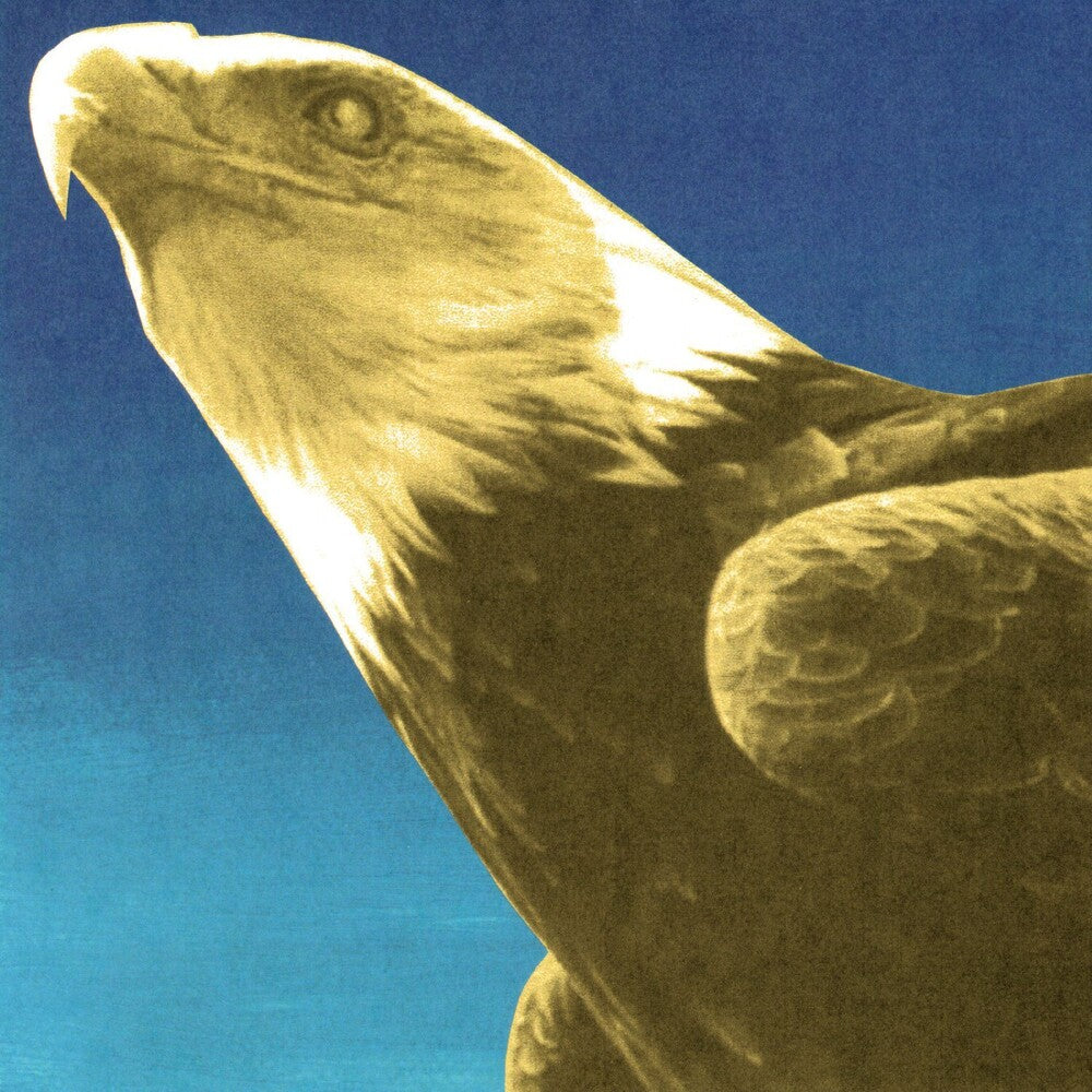 the album cover for Protomartyr - Hotel Usona [Indie Exclusive Gold]