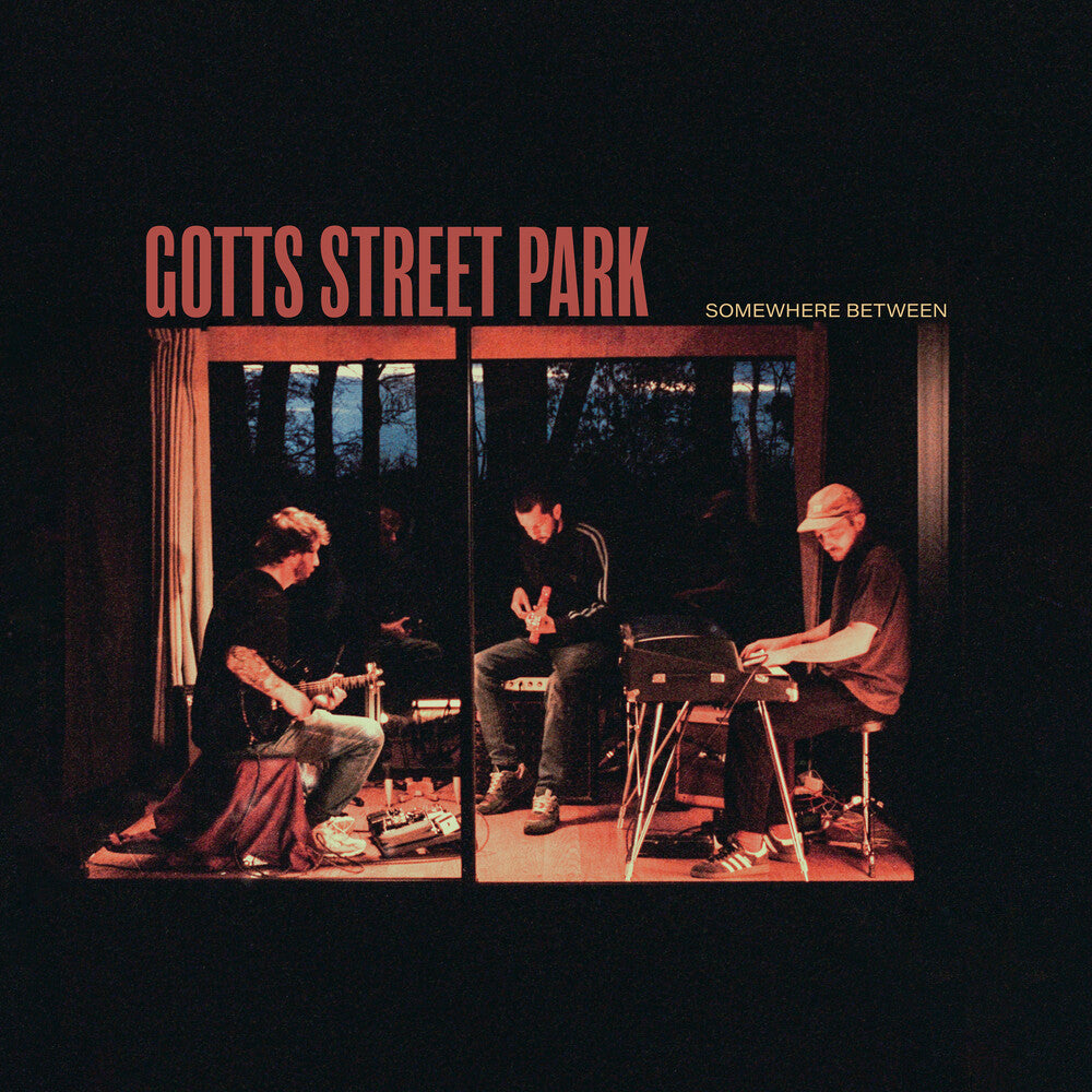 the album cover for Gotts Street Park - Somewhere Between