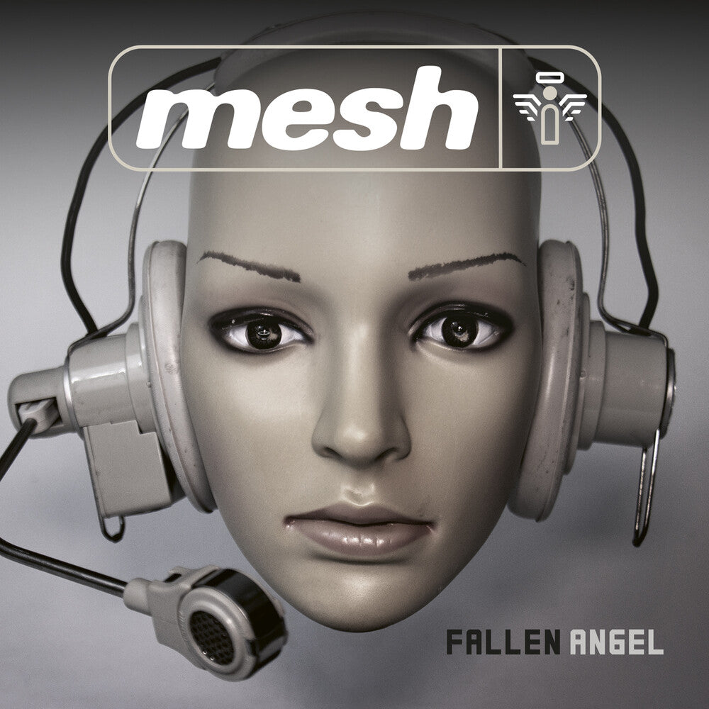 the album cover for Mesh - Fallen Angel